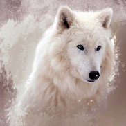 �������, 25 ���, ����