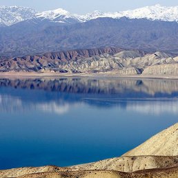 �����, �����-���������, 36 ���