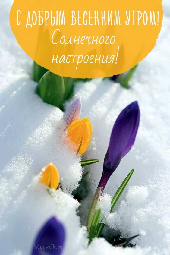 ***Victoria Viktorovna*** - 10  2023  04:04