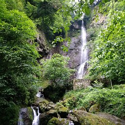 ���� �����, ������, 41 ��� - ��������� 16 ���� 2023