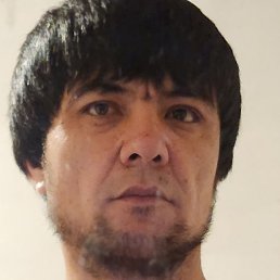 ����, ���������, 41 ���