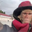 ���� �����, �������, 25 ��� - ��������� 3 ������ 2023 � ������ ���� ����������