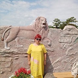 �����, �����������, 54 ����