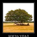 ���� ���������, �������, 52 ���� - ��������� 13 ������� 2023 � ������ ������ ��������