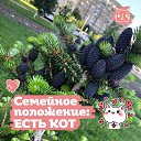���� ������, ������, 50 ��� - ��������� 11 ������� 2023 � ������ ���� ����������