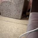 ���� �����, ������, 21 ��� - ��������� 3 �������� 2023 � ������ ���� ����������