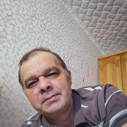 ������, ������, 51 ���