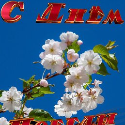 ������, ������, 46 ���