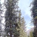 ���� Svetlana, ������, 45 ��� - ��������� 8 �������� 2023