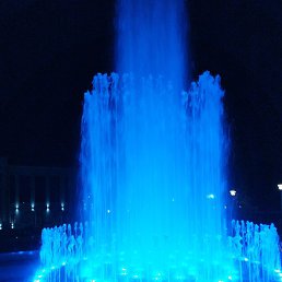 �����, �������, 48 ���