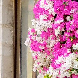 Raafat, ������, 32 ����