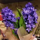 ���� �����, ���������, 54 ���� - ��������� 20 ����� 2023 � ������ ���� ����������