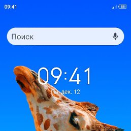 ����, ������, 45 ���