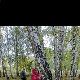 ���������, �������, 68 ���