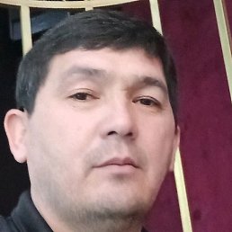 �����, ������, 43 ����