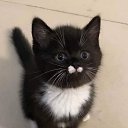 ���� ����, ���������, 41 ��� - ��������� 25 ������� 2023 � ������ ���� ����������