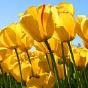 ���� ������, �������������, 48 ��� - ��������� 21 ������� 2023 � ������ ���� ����������