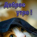 ���� ����, �����, 67 ��� - ��������� 1 ������� 2023