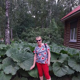 ����������, �����������, 73 ����