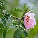 ���� � �, �������, 65 ��� - ��������� 3 ����� 2023