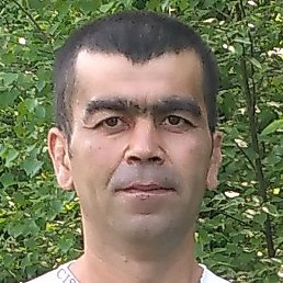 ���������, �����-���������, 40 ���