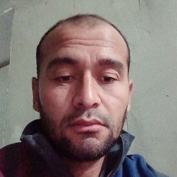 ����, ����, 41 ���