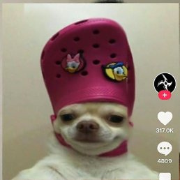 ������, ������, 24 ����