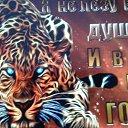 ���� ����, ������, 63 ���� - ��������� 12 ����� 2023