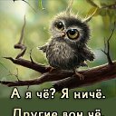 ���� �������, ���������, 46 ��� - ��������� 21 ��� 2023 � ������ ���� ����������