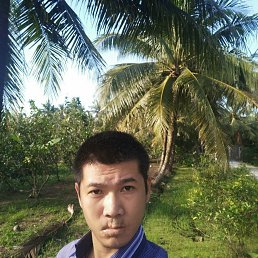 L Hong Tm, 34, 