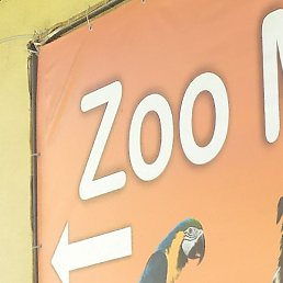 ������, �������, 55 ���