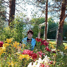 ��������, �����������, 53 ����