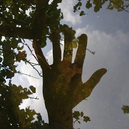 �������, ��������, 97 ���