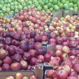 ����, ������, 46 ���