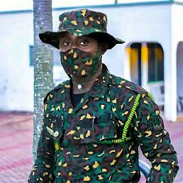 Collins, �����������, 23 ����