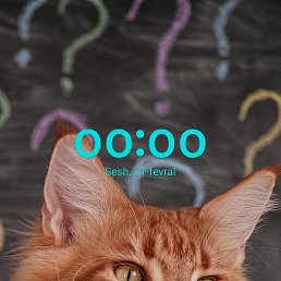 Xolid, ������, 38 ���