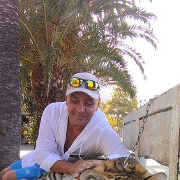 ���� �������, ���������, 51 ��� - ��������� 4 ��� 2023