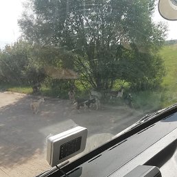 ������, ������, 54 ����