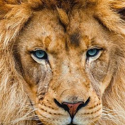 ����, ������, 24 ����