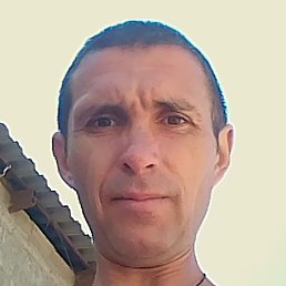 ������, ������, 44 ����