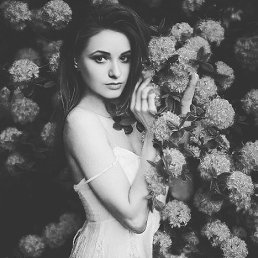 �����, 36 ���, ������