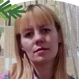 �����, ������, 39 ���