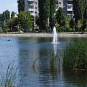  , , 66  -  21  2023    2023