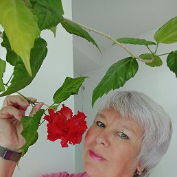 �����, ����, 60 ���