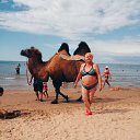 ���� �����, �����-���������, 66 ��� - ��������� 11 ���� 2023