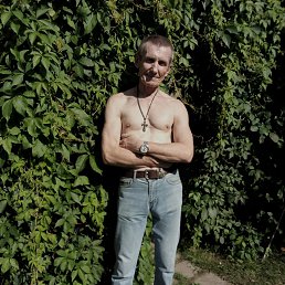 ���� ������, �����, 66 ��� - ��������� 11 ���� 2023