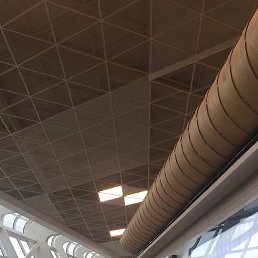 ����, �����-���������, 39 ���