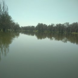 �����, �����������, 41 ���