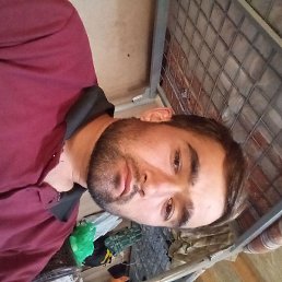 �����������, ������, 31 ���