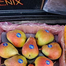 ���� �����, ������, 37 ��� - ��������� 4 �������� 2023